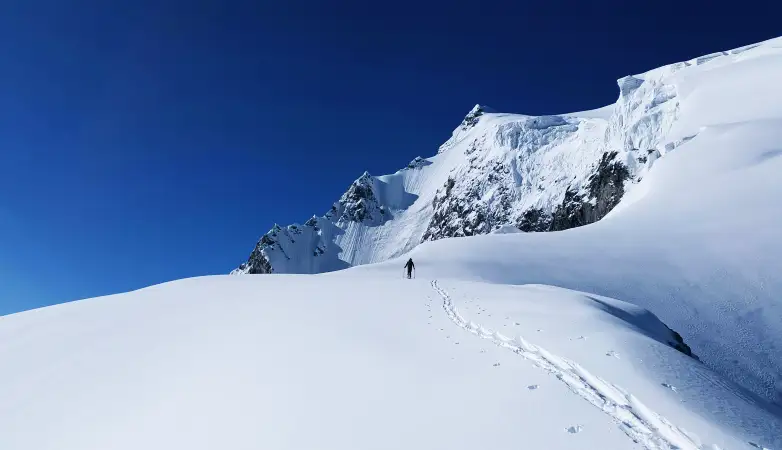 MikiGO Chauffeur Service Cervinia - Professional Driver