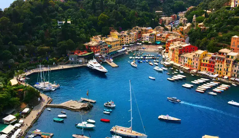 MikiGO Chauffeur Service Portofino - Professional Driver